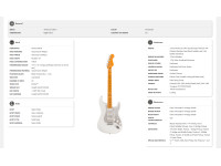 Fender American Ultra II Stratocaster Maple Fingerboard Avalanche Fender American Ultra II Stratocaster Maple Fingerboard Avalanche